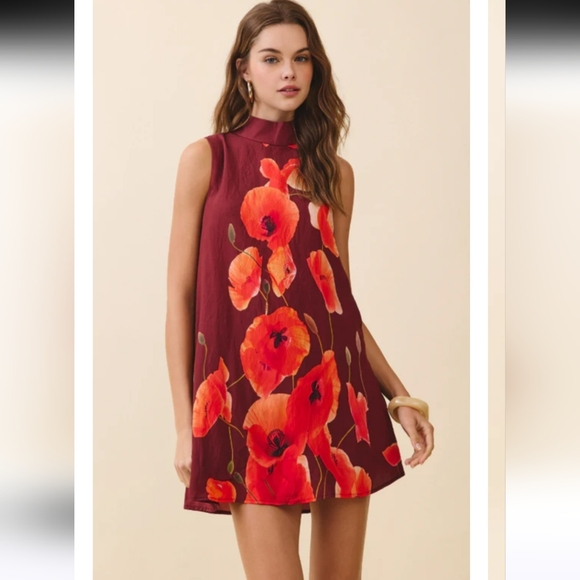 TCEC Dresses & Skirts - Altar'd State TCEC Nayeli Mock Neck Swing Mini Dress